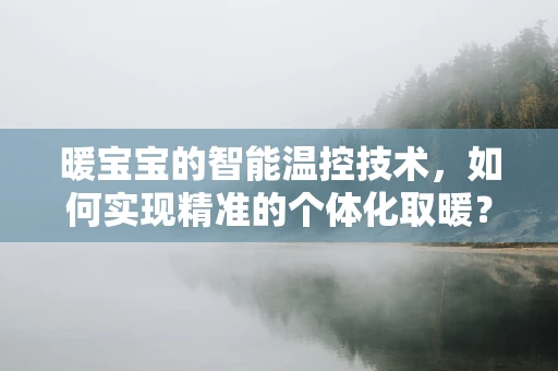 暖宝宝的智能温控技术，如何实现精准的个体化取暖？