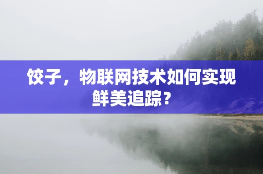 饺子，物联网技术如何实现鲜美追踪？