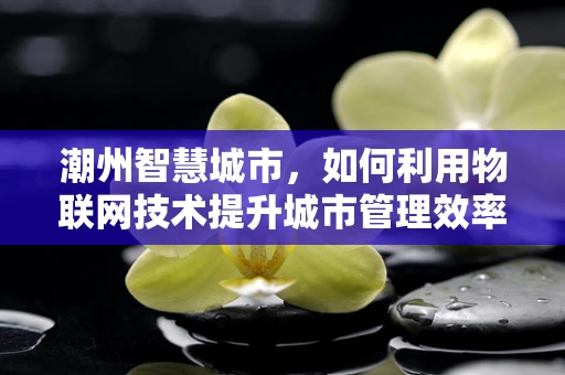 潮州智慧城市，如何利用物联网技术提升城市管理效率？