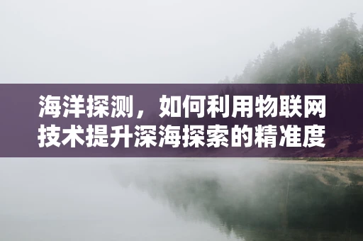 海洋探测，如何利用物联网技术提升深海探索的精准度与效率？