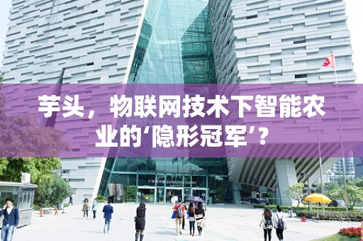 芋头，物联网技术下智能农业的‘隐形冠军’？