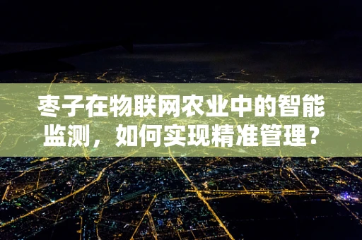 枣子在物联网农业中的智能监测，如何实现精准管理？