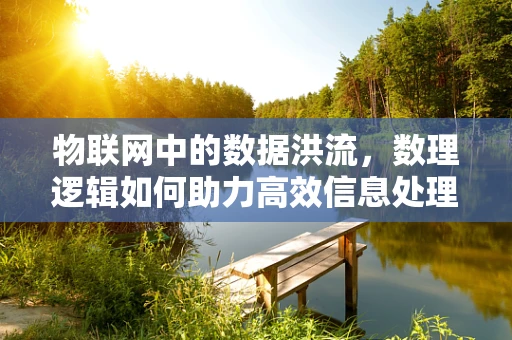 物联网中的数据洪流，数理逻辑如何助力高效信息处理？