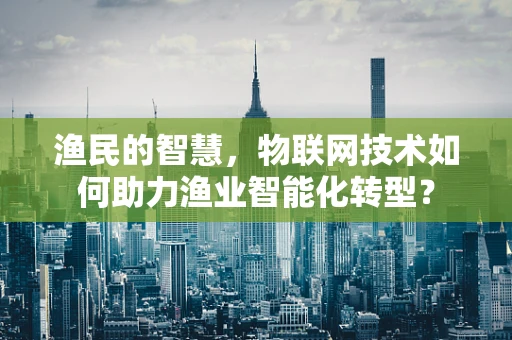 渔民的智慧，物联网技术如何助力渔业智能化转型？