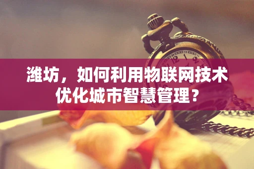 潍坊，如何利用物联网技术优化城市智慧管理？