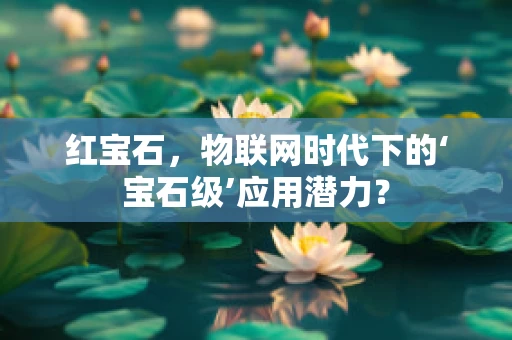 红宝石，物联网时代下的‘宝石级’应用潜力？
