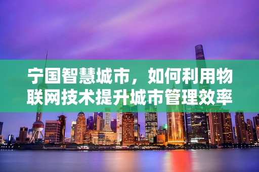 宁国智慧城市，如何利用物联网技术提升城市管理效率？
