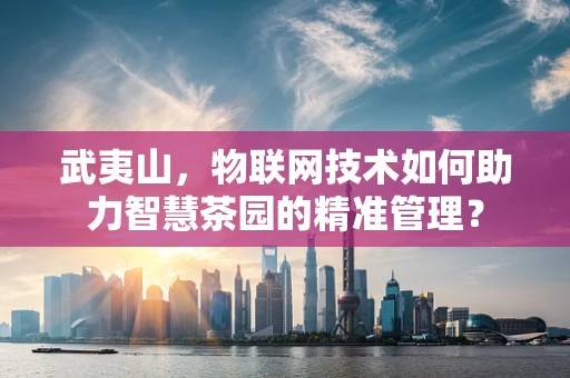 武夷山，物联网技术如何助力智慧茶园的精准管理？