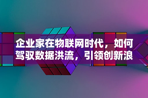 企业家在物联网时代，如何驾驭数据洪流，引领创新浪潮？