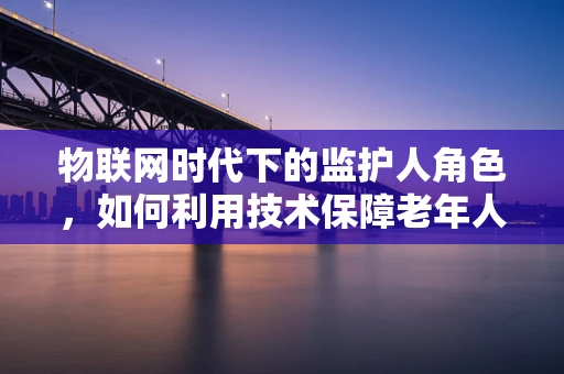 物联网时代下的监护人角色，如何利用技术保障老年人的安全与健康？