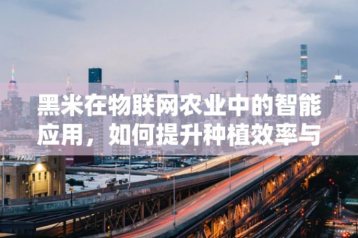 黑米在物联网农业中的智能应用，如何提升种植效率与品质？