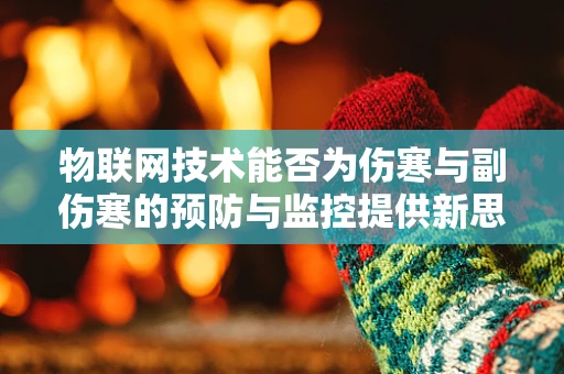 物联网技术能否为伤寒与副伤寒的预防与监控提供新思路？