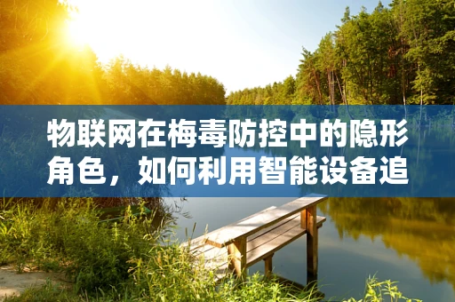 物联网在梅毒防控中的隐形角色，如何利用智能设备追踪疫情动态？