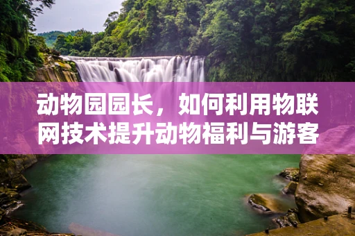 动物园园长，如何利用物联网技术提升动物福利与游客体验？