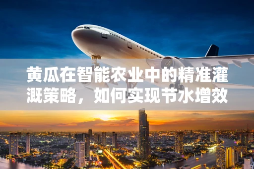 黄瓜在智能农业中的精准灌溉策略，如何实现节水增效？