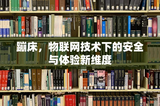蹦床，物联网技术下的安全与体验新维度