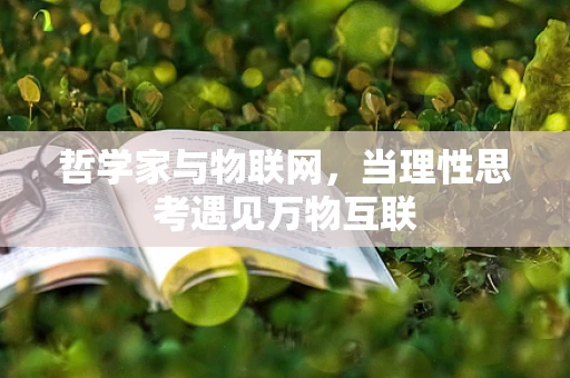 哲学家与物联网，当理性思考遇见万物互联