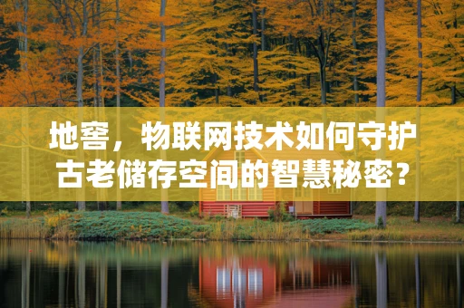 地窖，物联网技术如何守护古老储存空间的智慧秘密？