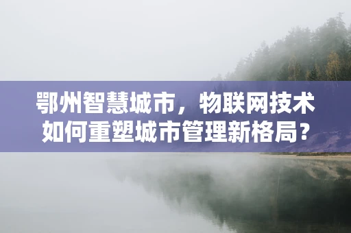 鄂州智慧城市，物联网技术如何重塑城市管理新格局？