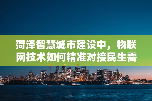 菏泽智慧城市建设中，物联网技术如何精准对接民生需求？
