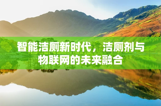 智能洁厕新时代，洁厕剂与物联网的未来融合