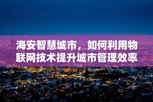 海安智慧城市，如何利用物联网技术提升城市管理效率？