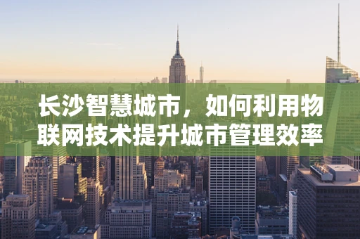 长沙智慧城市，如何利用物联网技术提升城市管理效率？