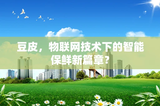豆皮，物联网技术下的智能保鲜新篇章？