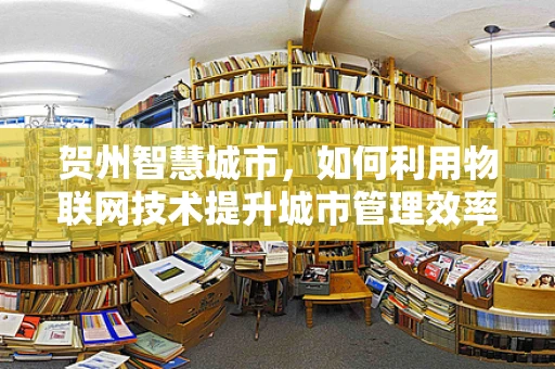 贺州智慧城市，如何利用物联网技术提升城市管理效率？