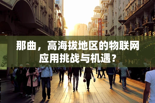 那曲，高海拔地区的物联网应用挑战与机遇？