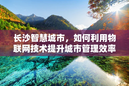 长沙智慧城市，如何利用物联网技术提升城市管理效率？