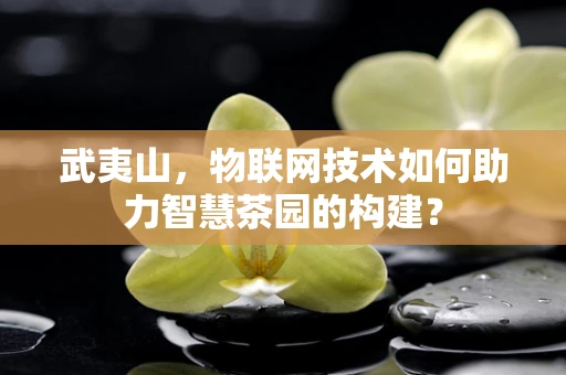 武夷山，物联网技术如何助力智慧茶园的构建？