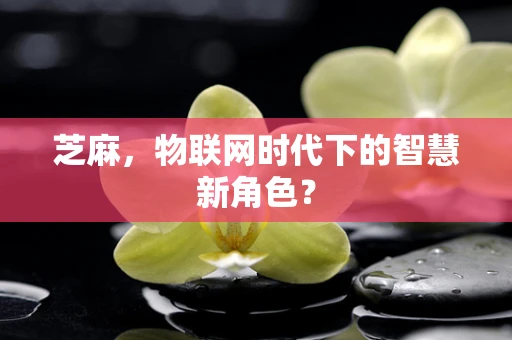 芝麻，物联网时代下的智慧新角色？