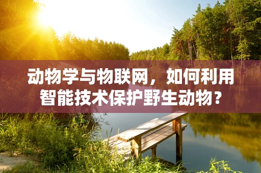 动物学与物联网，如何利用智能技术保护野生动物？