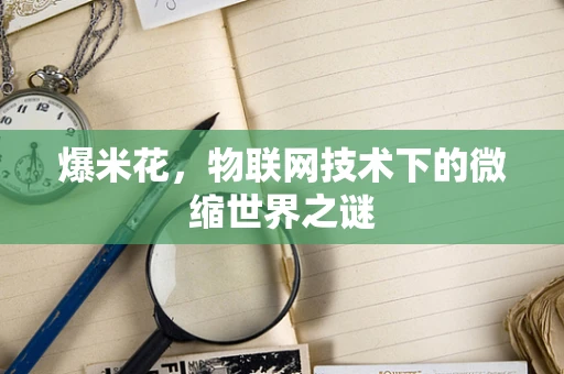 爆米花，物联网技术下的微缩世界之谜