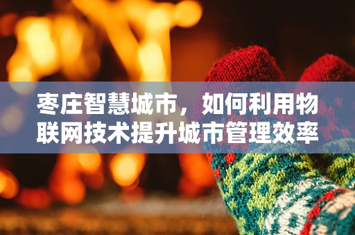 枣庄智慧城市，如何利用物联网技术提升城市管理效率？