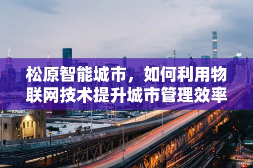 松原智能城市，如何利用物联网技术提升城市管理效率？