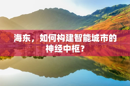 海东，如何构建智能城市的神经中枢？