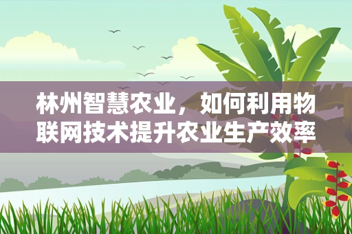 林州智慧农业，如何利用物联网技术提升农业生产效率？
