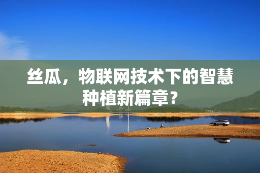 丝瓜，物联网技术下的智慧种植新篇章？