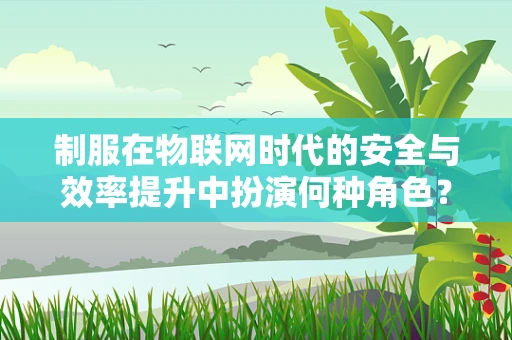 制服在物联网时代的安全与效率提升中扮演何种角色？
