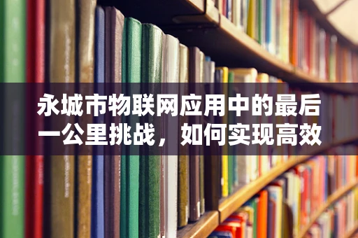永城市物联网应用中的最后一公里挑战，如何实现高效数据传输？