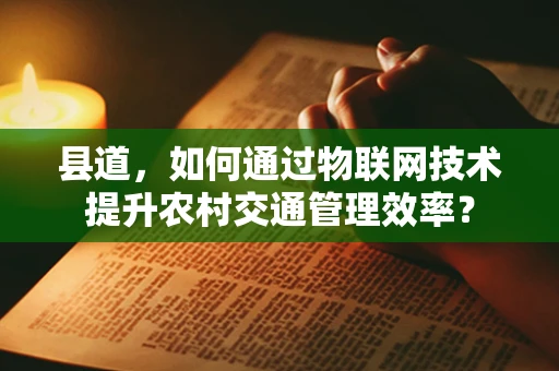 县道，如何通过物联网技术提升农村交通管理效率？
