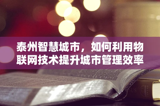 泰州智慧城市，如何利用物联网技术提升城市管理效率？