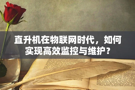 直升机在物联网时代，如何实现高效监控与维护？