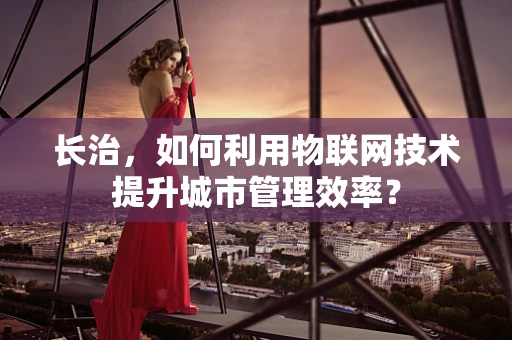 长治，如何利用物联网技术提升城市管理效率？