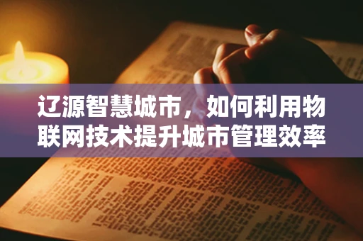 辽源智慧城市，如何利用物联网技术提升城市管理效率？