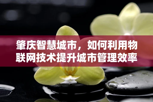 肇庆智慧城市，如何利用物联网技术提升城市管理效率？