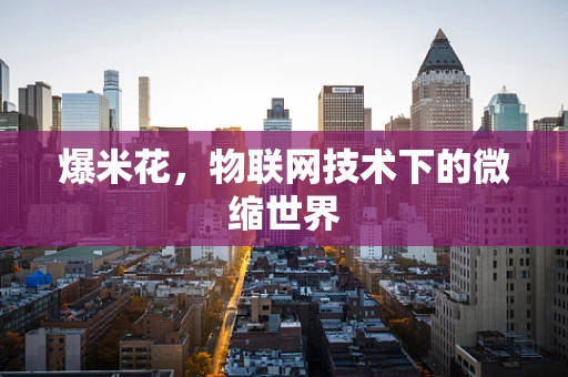 爆米花，物联网技术下的微缩世界