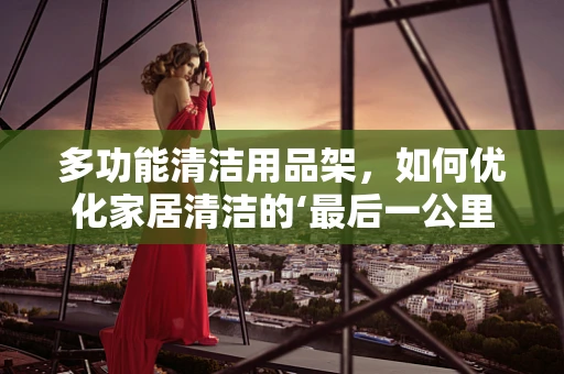 多功能清洁用品架，如何优化家居清洁的‘最后一公里’？